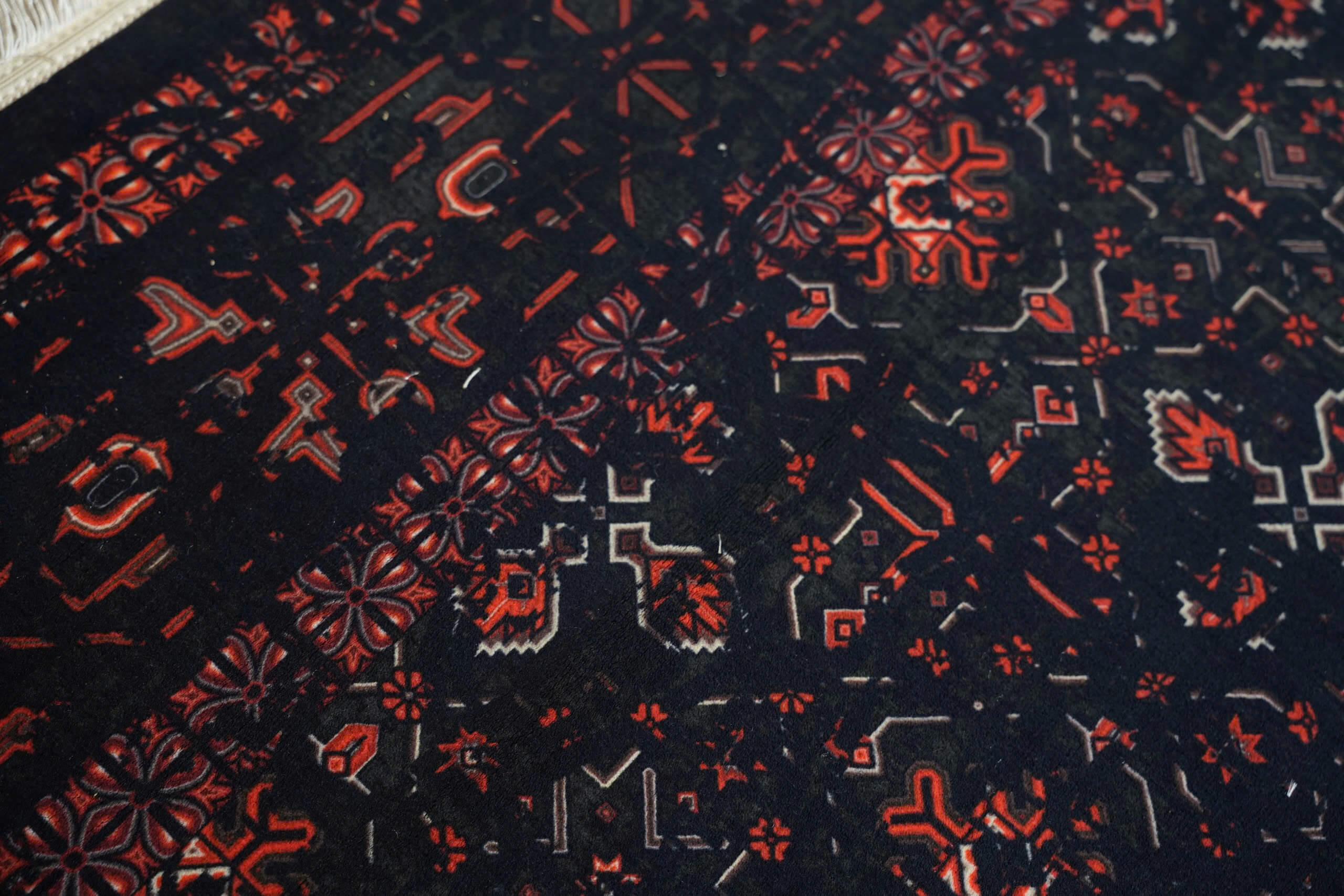 Daisy Large - Image 3