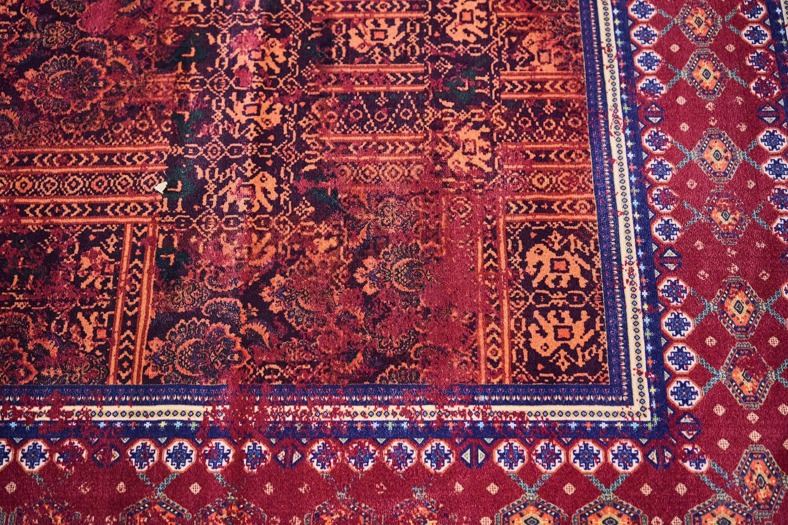 Daniela Small - Image 2