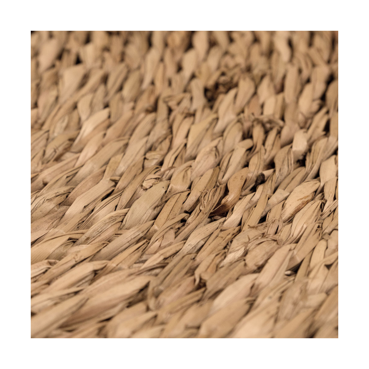 Giselle Medium - Image 4