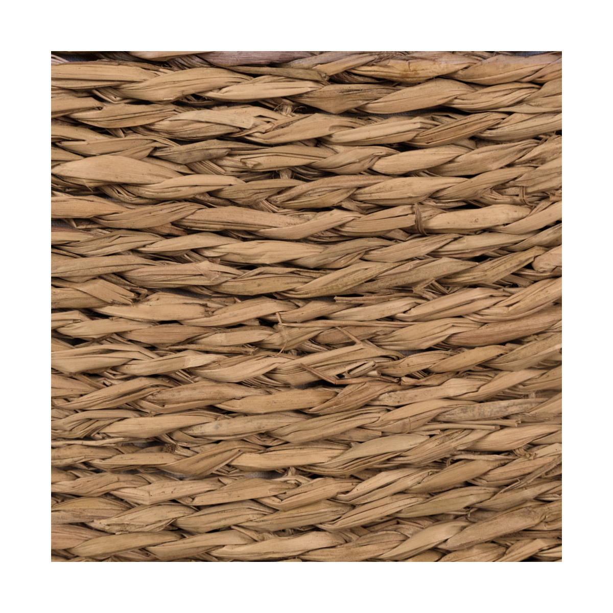 Giselle Medium - Image 3